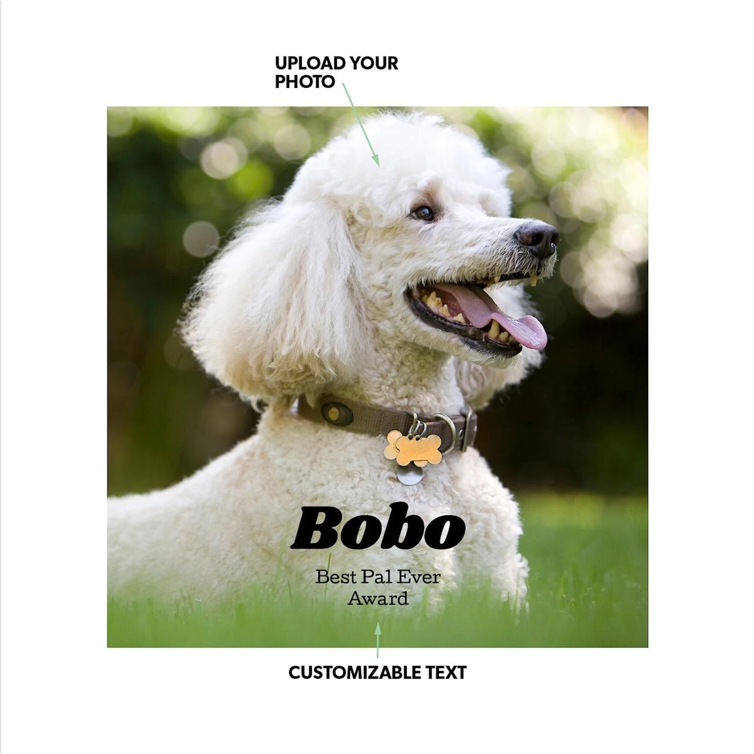 Frisco Personalized Basic Ceramic Photo Tile With Stand 2 Frisco Personalized Basic Ceramic Photo Tile With Stand - Image 2