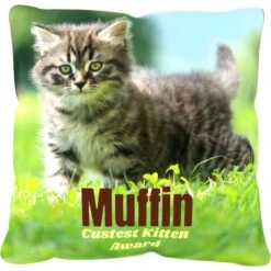 Frisco Personalized Basic Throw Pillow, 16" X 16" -PetSafe Kong Shop 271237 PT2. AC SS1800 V1620405726