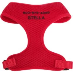 Frisco Small & Medium Breed Soft Mesh Personalized Back Clip Dog Harness