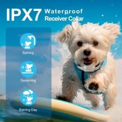 PATPET P650 1000ft Anti-Bark & Remote Dog Training Collar -PetSafe Kong Shop 271506 PT3. AC SS1800 V1617329877