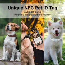 PATPET P650 1000ft Anti-Bark & Remote Dog Training Collar -PetSafe Kong Shop 271506 PT6. AC SS1800 V1617317547