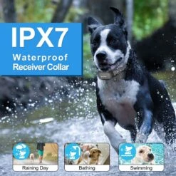 PATPET P680 Lightweight Remote Dog Training Collar -PetSafe Kong Shop 271508 PT3. AC SS1800 V1617319314