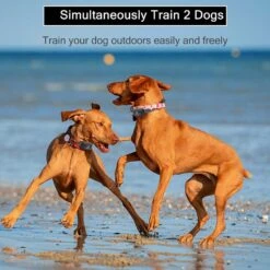 PATPET P680 Lightweight Remote Dog Training Collar -PetSafe Kong Shop 271508 PT5. AC SS1800 V1617329876