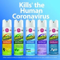 OdoBan Disinfectant Fabric & Air Freshener Eucalyptus Spray, 14.6-oz Bottle -PetSafe Kong Shop 272071 PT2. AC SS1800 V1639693313