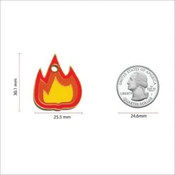 Trill Paws Flame Personalized Dog & Cat ID Tag -PetSafe Kong Shop 272360 PT3. AC SS1800 V1613603209