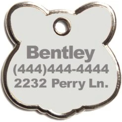 Trill Paws Teddy Personalized Dog & Cat ID Tag -PetSafe Kong Shop 272400 PT4. AC SS1800 V1631733978