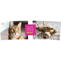 Frisco "Classic" Double Walled Personalized Tumbler. 30-oz 6 Frisco "Classic" Double Walled Personalized Tumbler. 30-oz -PetSafe Kong Shop 272541 PT2. AC SS1800 V1625686095