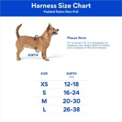 STAR WARS THE MANDALORIAN GROGU Pumpkin Dog Harness -PetSafe Kong Shop 272936 PT1. AC SS1800 V1697218225