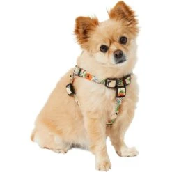 STAR WARS THE MANDALORIAN GROGU Pumpkin Dog Harness -PetSafe Kong Shop 272936 PT6. AC SS1800 V1624046884