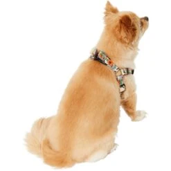 STAR WARS THE MANDALORIAN GROGU Pumpkin Dog Harness -PetSafe Kong Shop 272936 PT7. AC SS1800 V1624048057