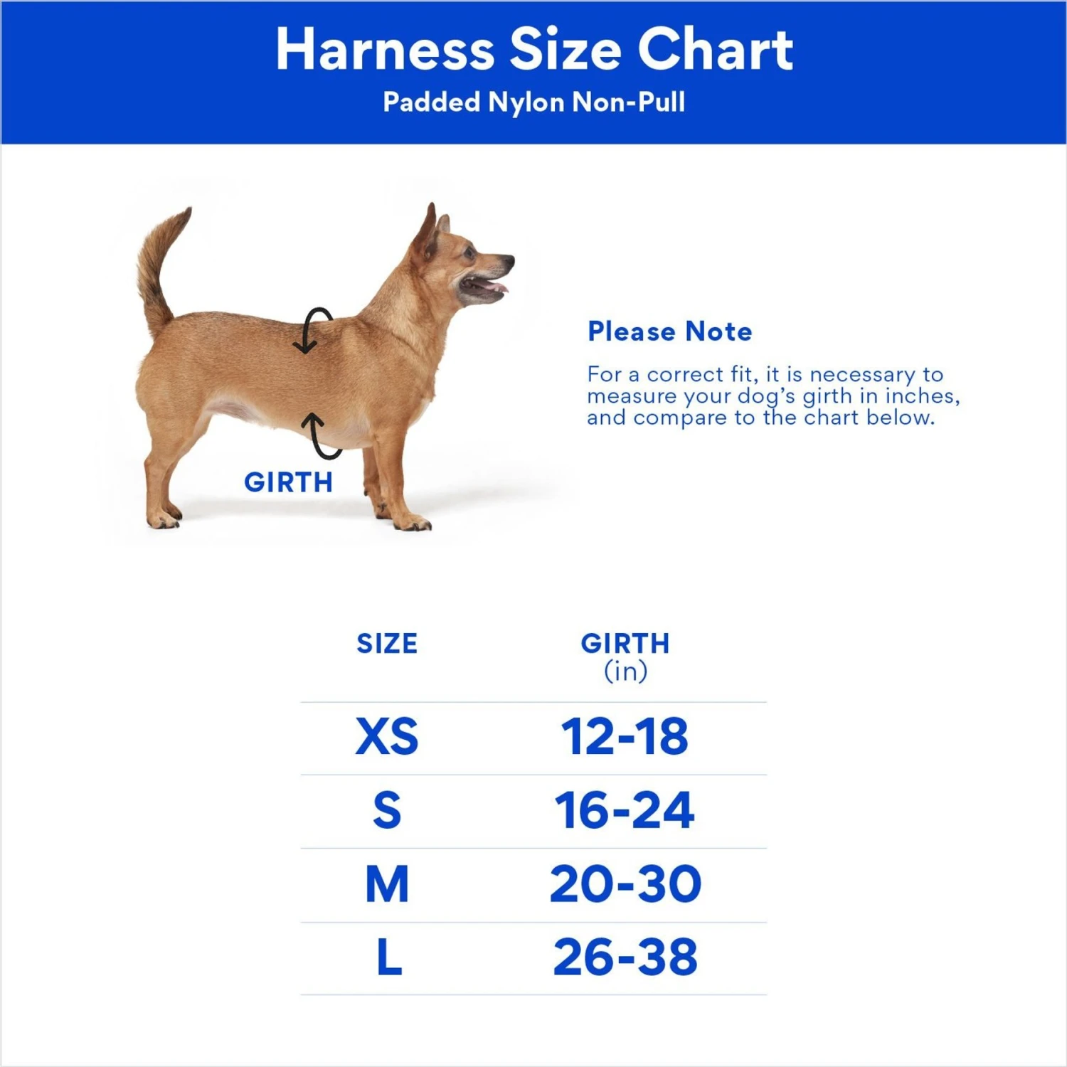 Disney Minnie Halloween Dog Harness 2 Disney Minnie Halloween Dog Harness - Image 2