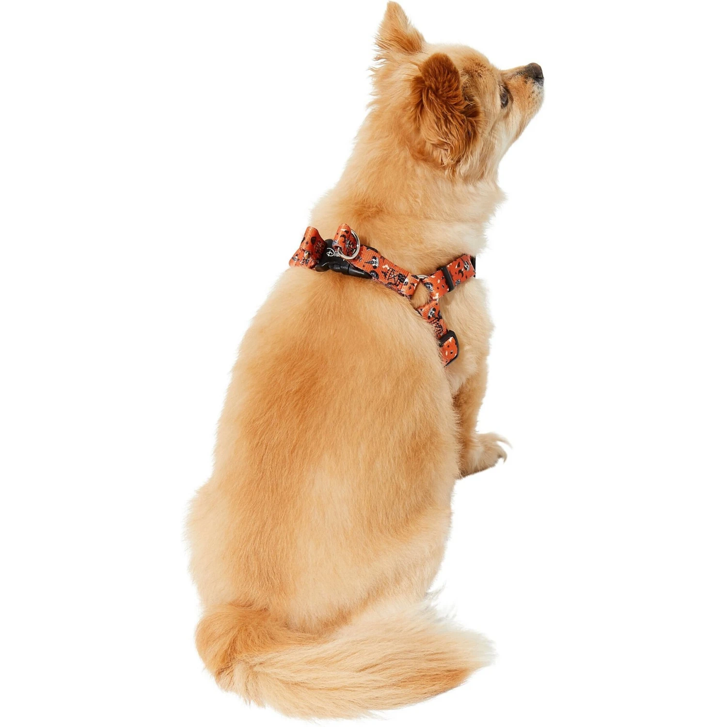 Disney Minnie Halloween Dog Harness 4 Disney Minnie Halloween Dog Harness - Image 4