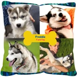 Frisco "Contemporary #2" Throw Pillow 16 X 16 -PetSafe Kong Shop 276901 PT2. AC SS1800 V1625686286