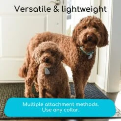 Jiobit GPS Dog & Cat Location Monitor -PetSafe Kong Shop 276939 PT3. AC SS1800 V1623181044