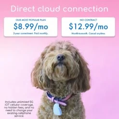 Jiobit GPS Dog & Cat Location Monitor -PetSafe Kong Shop 276939 PT6. AC SS1800 V1623180750