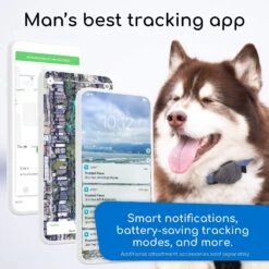 Jiobit GPS Dog & Cat Location Monitor -PetSafe Kong Shop 276939 PT7. AC SS1800 V1623181049