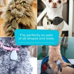 Jiobit GPS Dog & Cat Location Monitor -PetSafe Kong Shop 276939 PT8. AC SS1800 V1623181046