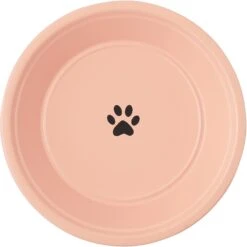 Frisco Elevated Non-skid Stainless Steel Dog & Cat Bowl -PetSafe Kong Shop 277523 PT4. AC SS1800 V1627934801