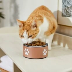 Frisco Paw Print Non-Skid Stainless Steel Dog & Cat Bowl -PetSafe Kong Shop 277546 PT3. AC SS1800 V1630347716
