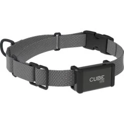 Cube GPS Dog & Cat Collar Clips, 3 Count -PetSafe Kong Shop 277595 PT6. AC SS1800 V1614296858
