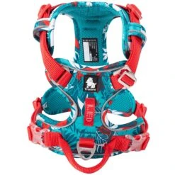Chai's Choice Best Tropic Thunder Edition No-Pull Dog Harness -PetSafe Kong Shop 277690 PT2. AC SS1800 V1614874407