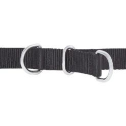 Frisco Basic No Pull Harness -PetSafe Kong Shop 277873 PT2. AC SS1800 V1629760100