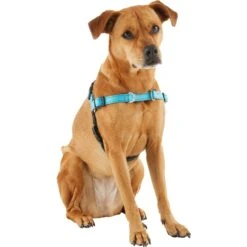 Frisco Padded Reflective No Pull Harness -PetSafe Kong Shop 277892 PT3. AC SS1800 V1629758833