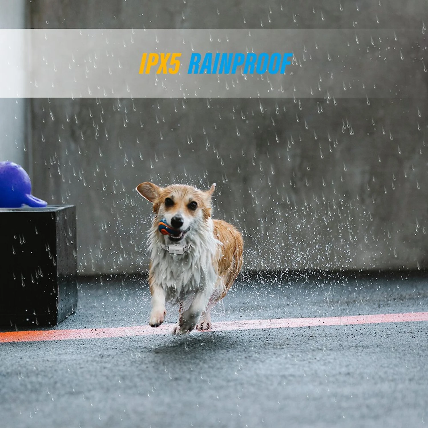 PATPET A01 Anti-Bark Training Dog Collar 7 PATPET A01 Anti-Bark Training Dog Collar - Image 7