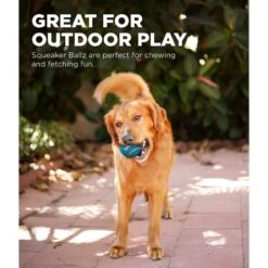 Outward Hound Squeaker Balls Small Dog Toys, 8 Count -PetSafe Kong Shop 278085 PT3. AC SS1800 V1636516946