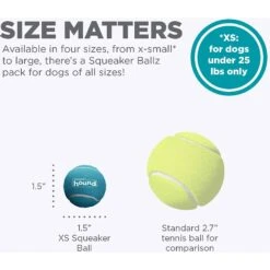 Outward Hound Squeaker Balls X-Small Dog Toys, 8 Count -PetSafe Kong Shop 278087 PT2. AC SS1800 V1636517246