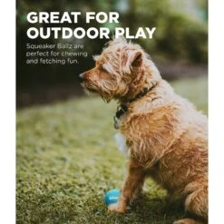 Outward Hound Squeaker Balls X-Small Dog Toys, 8 Count -PetSafe Kong Shop 278087 PT3. AC SS1800 V1636509712