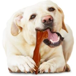 Nylabone Power Chew Bison Bone Alternative Nylon Dog Chew Toy, Large 11 Nylabone Power Chew Bison Bone Alternative Nylon Dog Chew Toy, Large -PetSafe Kong Shop 278144 PT2. AC SS1800 V1629845806