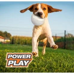 Nylabone Power Play Gripz Soccer Ball Dog Toy 17 Nylabone Power Play Gripz Soccer Ball Dog Toy -PetSafe Kong Shop 278152 PT8. AC SS1800 V1653398810