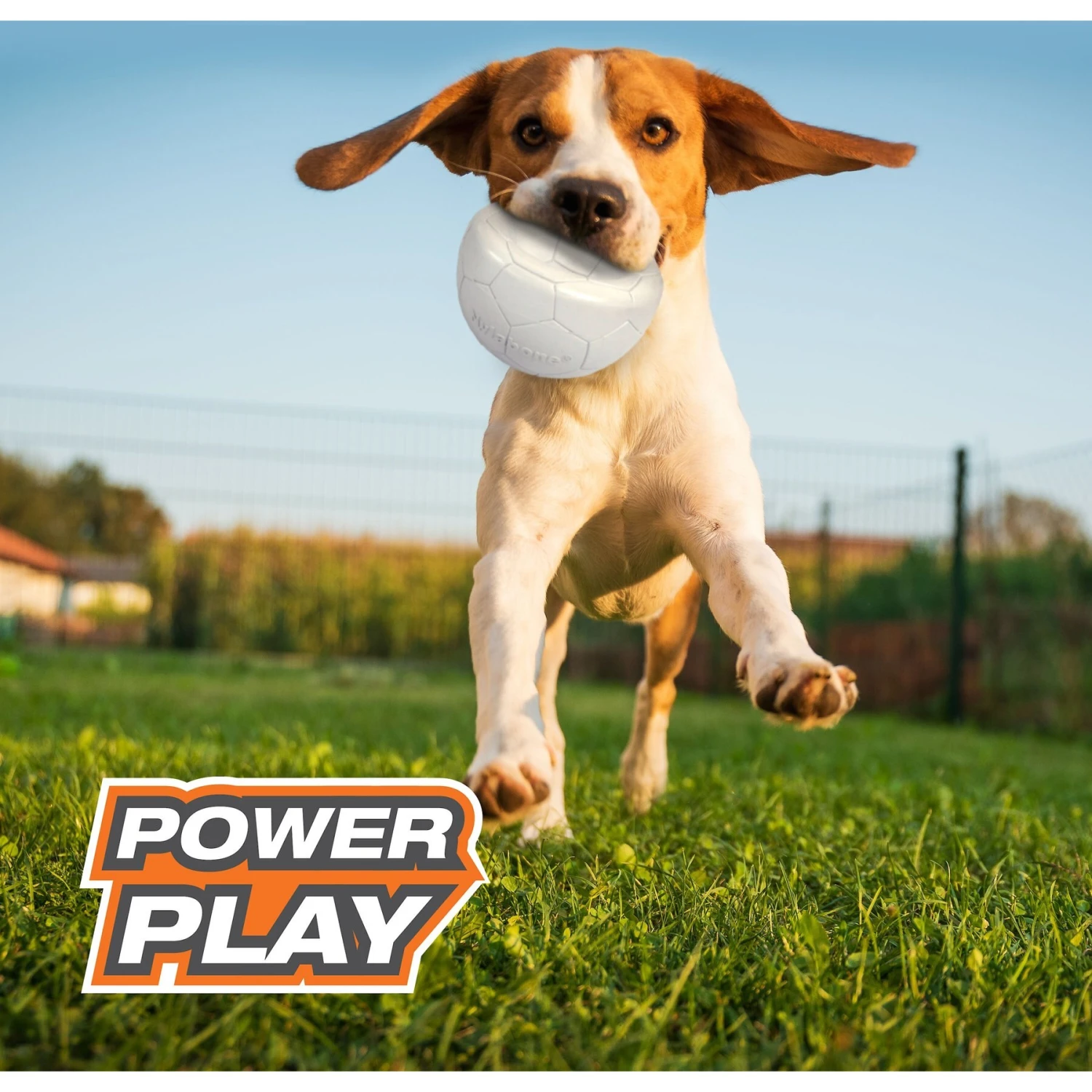 Nylabone Power Play Gripz Soccer Ball Dog Toy 9 Nylabone Power Play Gripz Soccer Ball Dog Toy - Image 9