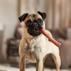 Ethical Pet Bambone & Branch Beef Dog Toy -PetSafe Kong Shop 278514 PT5. AC SS1800 V1682711057