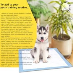 American Kennel Club AKC Ultra-Absorbent Fresh Cut Grass Scented Dog Training Pads, X-Large, 50 Count 9 American Kennel Club AKC Ultra-Absorbent Fresh Cut Grass Scented Dog Training Pads, X-Large, 50 Count -PetSafe Kong Shop 279840 PT4. AC SS1800 V1615516020