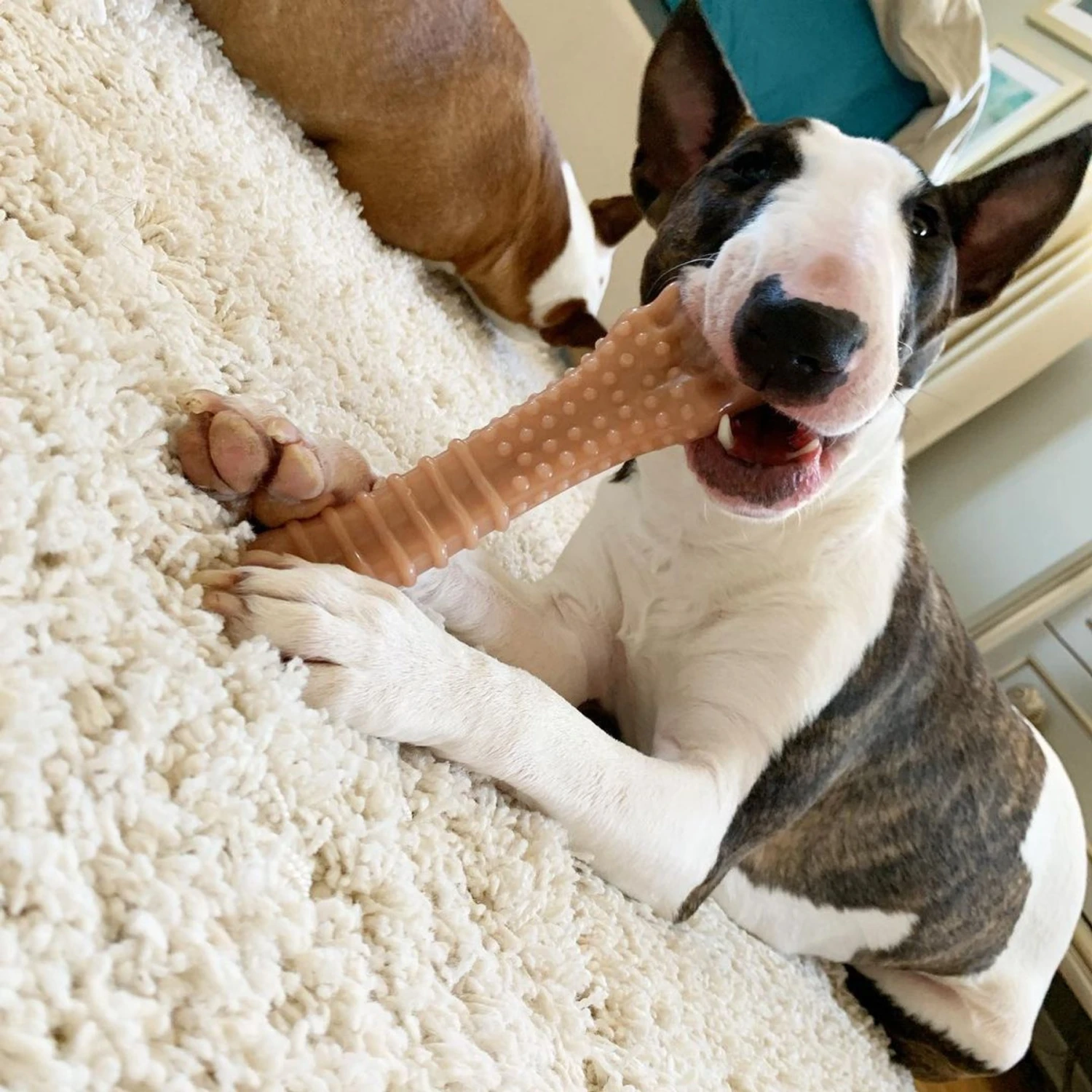 Nylabone Power Chew Dog Chew Toys For Aggressive Chewers Bundle Original 3 Nylabone Power Chew Dog Chew Toys For Aggressive Chewers Bundle Original - Image 3