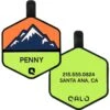 QALO Neon Mountain Personalized Dog ID Tag