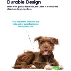 Petstages Crack N Fetch Stick Dog Chew Toy -PetSafe Kong Shop 280177 PT3. AC SS1800 V1636521988
