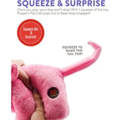 Charming Pet Poppers Pig Plush Dog Toy, Pink, X-Small -PetSafe Kong Shop 280230 PT3. AC SS1800 V1618932326