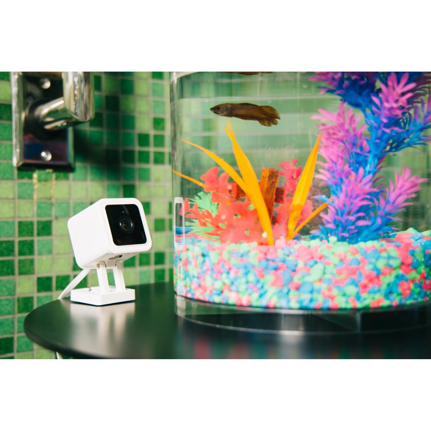 Wyze Cam V3 Pet Camera 6 Wyze Cam V3 Pet Camera - Image 6