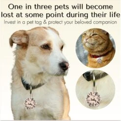 PawFurEver Hexagon Personalized Dog ID Tag 10 PawFurEver Hexagon Personalized Dog ID Tag -PetSafe Kong Shop 280522 PT2. AC SS1800 V1694202205