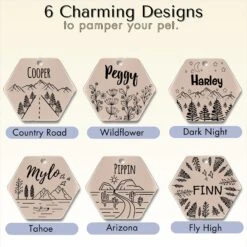 PawFurEver Hexagon Personalized Dog ID Tag 13 PawFurEver Hexagon Personalized Dog ID Tag -PetSafe Kong Shop 280522 PT5. AC SS1800 V1694201449