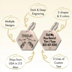 PawFurEver Hexagon Personalized Dog ID Tag 14 PawFurEver Hexagon Personalized Dog ID Tag -PetSafe Kong Shop 280522 PT6. AC SS1800 V1694202861