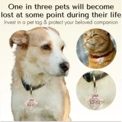PawFurEver Diamond Personalized Dog ID Tag 10 PawFurEver Diamond Personalized Dog ID Tag -PetSafe Kong Shop 280541 PT2. AC SS1800 V1694202293