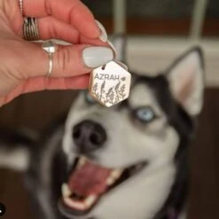 PawFurEver Diamond Personalized Dog ID Tag 15 PawFurEver Diamond Personalized Dog ID Tag -PetSafe Kong Shop 280541 PT7. AC SS1800 V1669098959