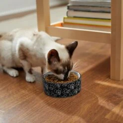 Disney Mickey Mouse Black & White No-Skid Ceramic Dog & Cat Bowl 8 Disney Mickey Mouse Black & White No-Skid Ceramic Dog & Cat Bowl -PetSafe Kong Shop 280593 PT3. AC SS1800 V1629986575