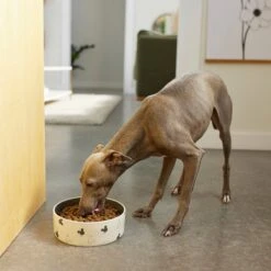 Disney Mickey Mouse Watercolor Silhouette No-Skid Ceramic Dog & Cat Bowl 8 Disney Mickey Mouse Watercolor Silhouette No-Skid Ceramic Dog & Cat Bowl -PetSafe Kong Shop 280598 PT2. AC SS1800 V1629986704