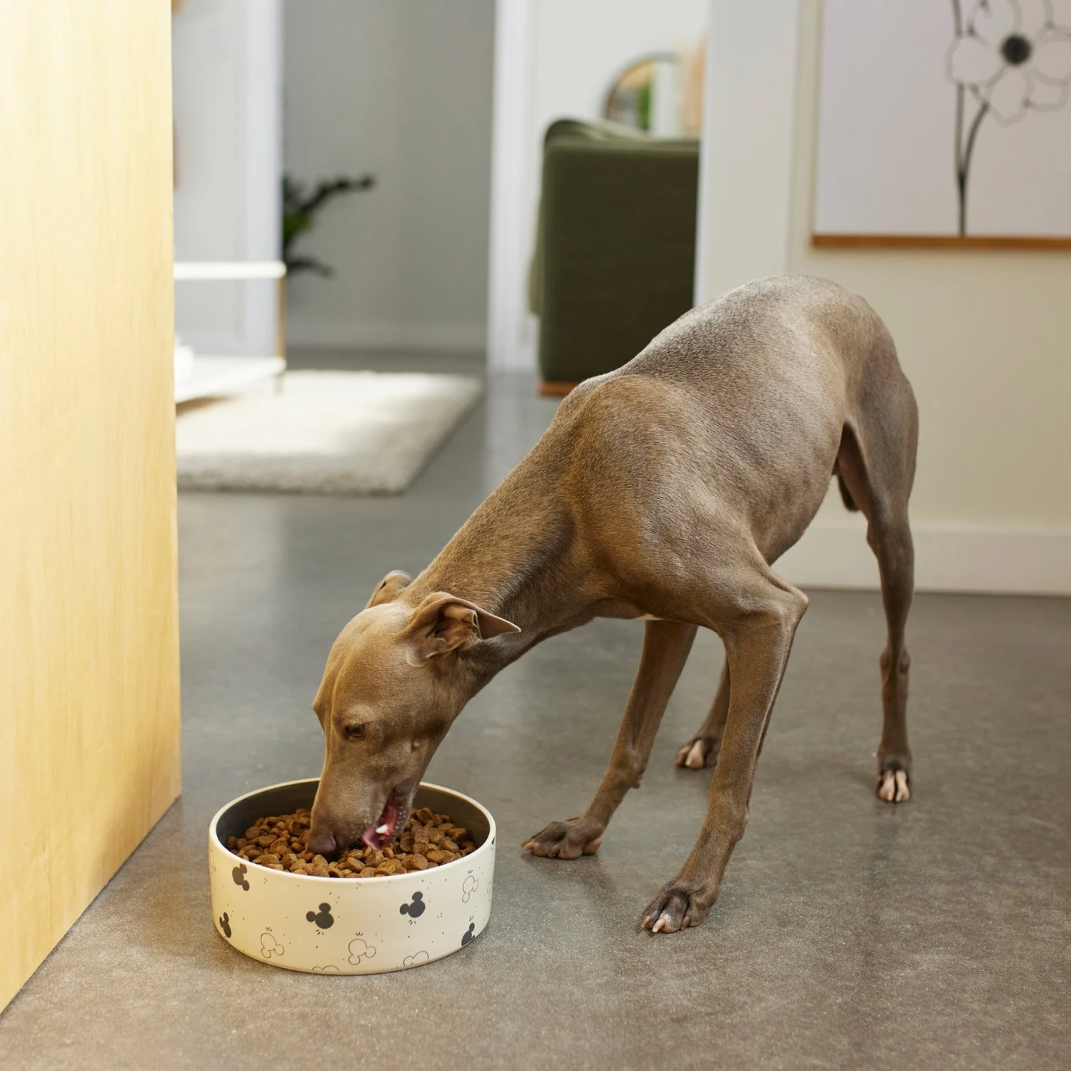 Disney Mickey Mouse Watercolor Silhouette No-Skid Ceramic Dog & Cat Bowl 3 Disney Mickey Mouse Watercolor Silhouette No-Skid Ceramic Dog & Cat Bowl - Image 3