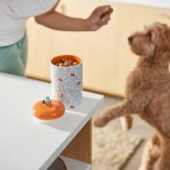 Disney Winnie The Pooh Orange Ceramic Dog & Cat Treat Jar -PetSafe Kong Shop 280636 PT2. AC SS1800 V1629986845